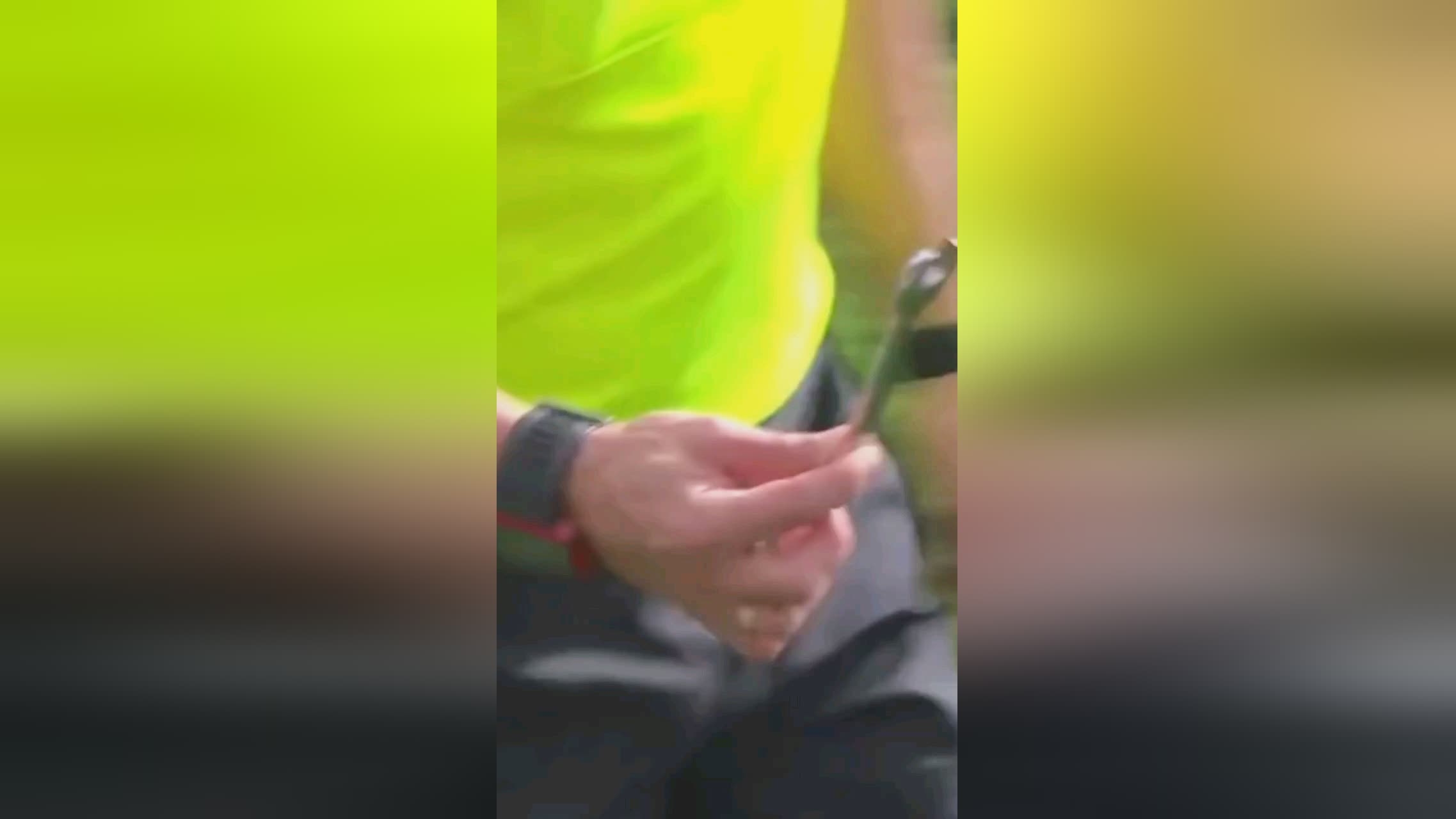 合理